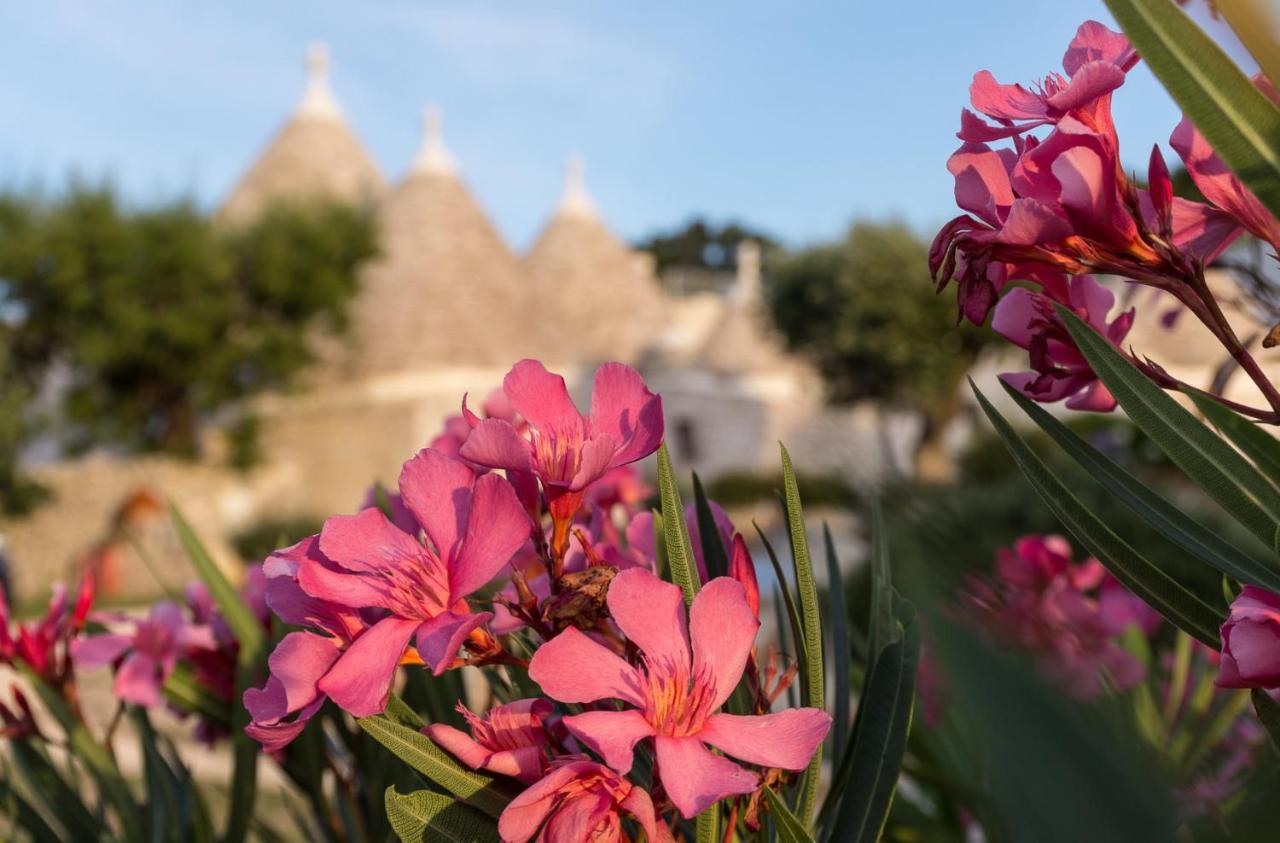 شقة لوكوروتوندو  في Trulli Angela المظهر الخارجي الصورة